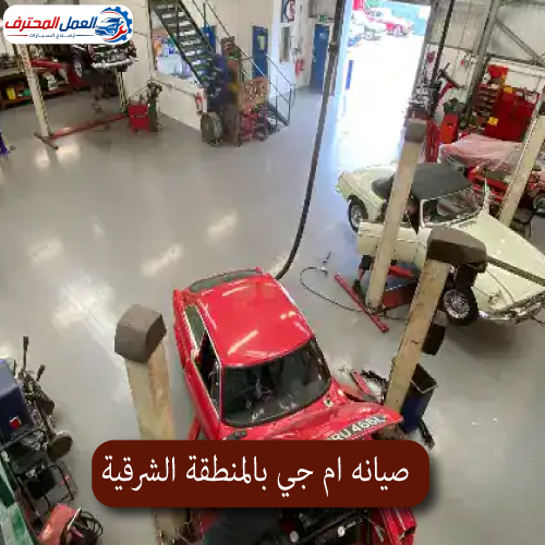 المحترف صيانه ام جي بالمنطقة الشرقية 1